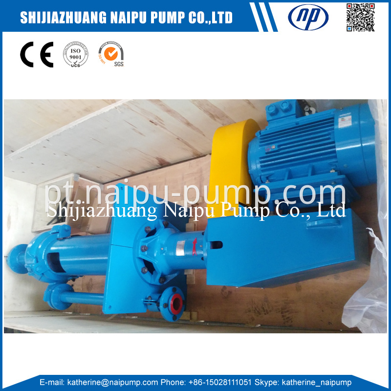 vertical slurry pumps